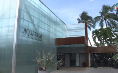 Après l’Aquarium de Guadeloupe, où manger ? Direction Coco Kafé à la Marina du Gosier